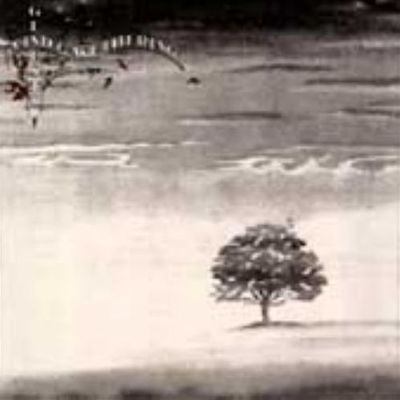Wind & Wuthering