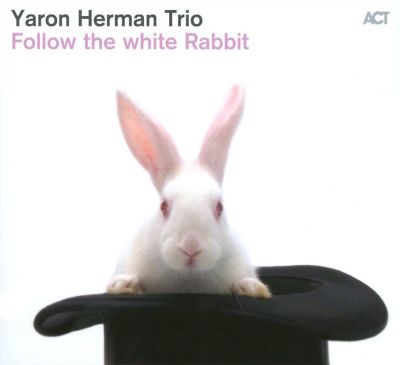 Follow the White Rabbit