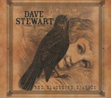 The Blackbird Diaries