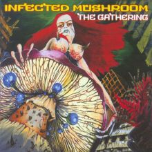 Infected Mushroom — Biography, Discography, Albums & Expert