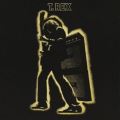 Electric Warrior [Bonus Track]