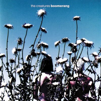 Boomerang