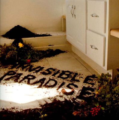 Invisible Paradise
