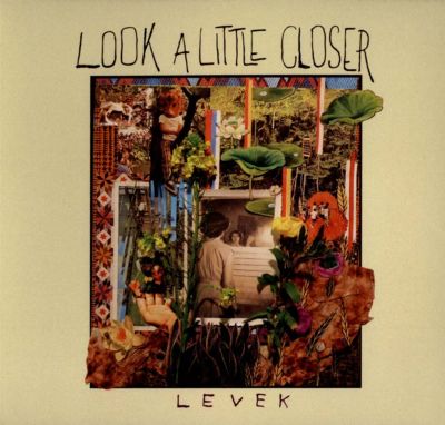 Look a Little Closer
