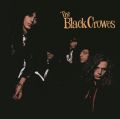 The Black Crowes: Shake Your  Tracks & Reviews | AllMusic