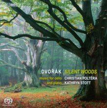 Album cover for Dvorák: Silent Woods by Christian Poltéra / Kathryn Stott
