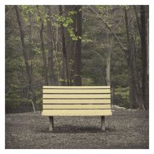 Album cover for The Hands That Thieve by Streetlight Manifesto
