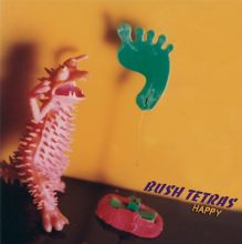 Album cover for Happy by Bush Tetras