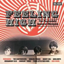 Album cover for Feeling High: The Psychedelic Sound of Memphis by Various Artists