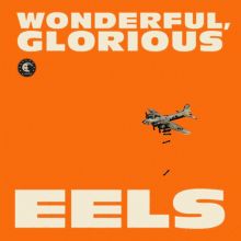 Album cover for Wonderful, Glorious [Deluxe Edition] by The Chet / E / Eels / Knuckles / Koool G Murder / P-Boo