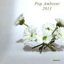 Album cover for Pop Ambient 2013 by Various Artists