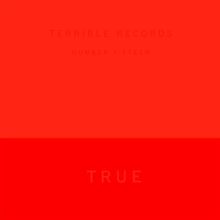 Album cover for True by Solange