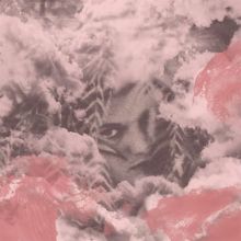 Album cover for Velvet Changes by Dog Bite