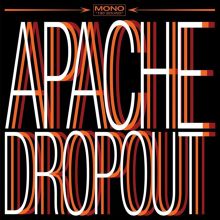Album cover for Magnetic Heads by Apache Dropout