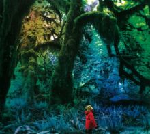 Album cover for Cabinet of Curiosities by Jacco Gardner