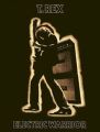 Electric Warrior [Bonus DVD]