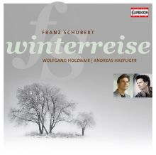 Album cover for Schubert: Winterreise by Wolfgang Holzmair / Andreas Haefliger