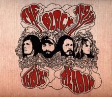 Album cover for Indigo Meadow by The Black Angels