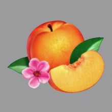 Album cover for Bankrupt! by Phoenix