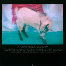Album cover for You Have Already Gone to the Other World by A Hawk and a Hacksaw