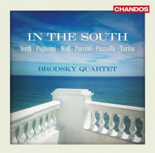 Album cover for In the South by The Brodsky Quartet