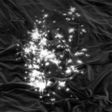 Album cover for Walking Field by Peals