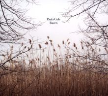 Album cover for Raven by Paula Cole
