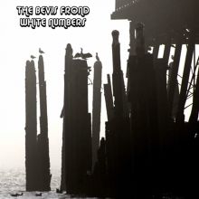 Album cover for White Numbers by The Bevis Frond