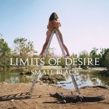 Album cover for Limits of Desire by Small Black