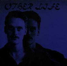 Album cover for Other Life by Sean Nicholas Savage