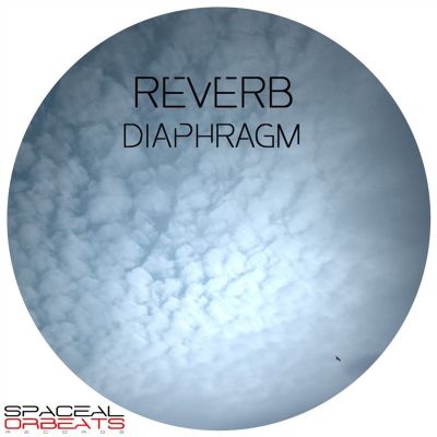 Diaphragm