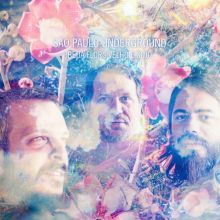Album cover for Beija Flors Velho e Sujo by São Paulo Underground