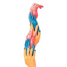 Album cover for Exhibitionists by Superhumanoids