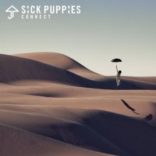 Album cover for Connect by Sick Puppies