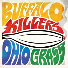 Album cover for Ohio Grass by Buffalo Killers