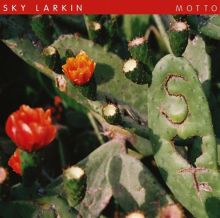 Album cover for Motto by Sky Larkin