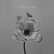 Album cover for In Rolling Waves by The Naked and Famous