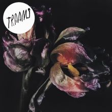 Album cover for Grin by TRAAMS