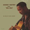 Muddy Waters: Sings Big Bill  Tracks & Reviews | AllMusic