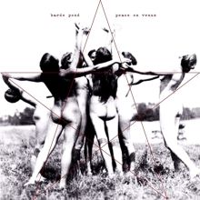 Album cover for Peace on Venus by Bardo Pond
