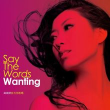 Album cover for Say the Words by Wanting