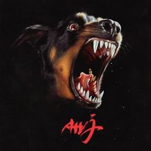 Album cover for Ahj by Albert Hammond, Jr.