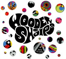 Album cover for Back to Land by Wooden Shjips