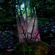 Album cover for Stealth of Days by Jensen Sportag