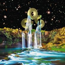 Album cover for Vibration Animal Sex Brain Music by Orchestra of Spheres