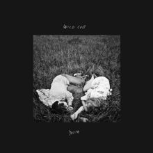 Album cover for Youth by Wild Cub