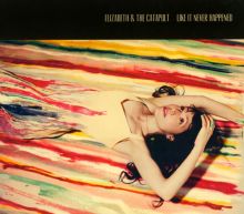 Album cover for Like It Never Happened by Elizabeth & the Catapult