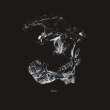 Album cover for Death After Life I-VIII [Bonus Tracks] by Thug Entrancer