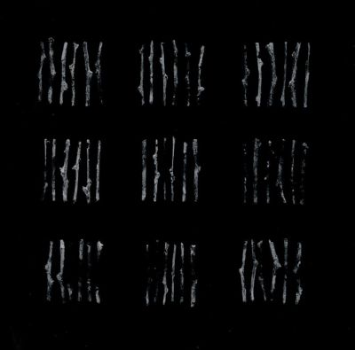 その他 Alvin Lucier Still and Moving Lines... Amazon.com: Still and Moving LInes: CDs & Vinyl