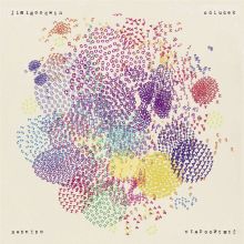 Album cover for Odludek by Jimi Goodwin